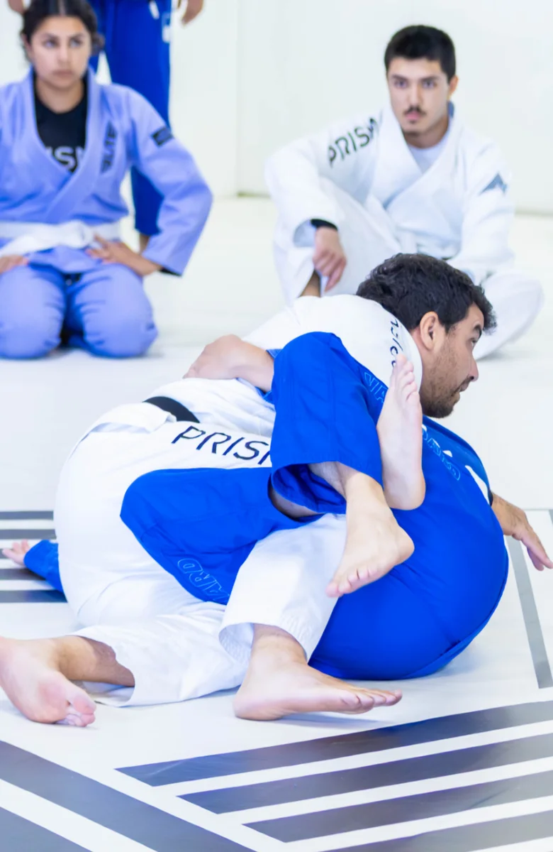 Prisma Brazilian Jiu-Jitsu by Leandro Vieira visual
