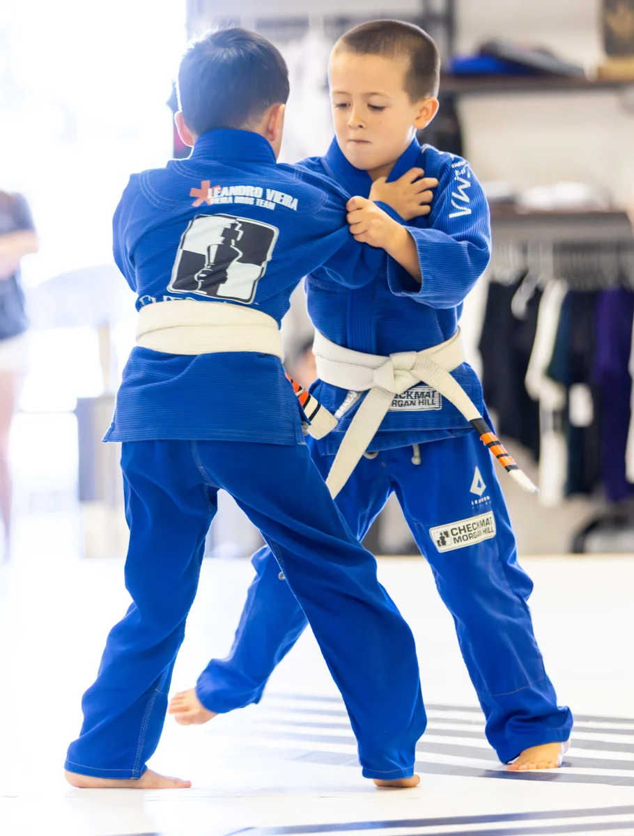 Prisma Brazilian Jiu-Jitsu by Leandro Vieira academy photo