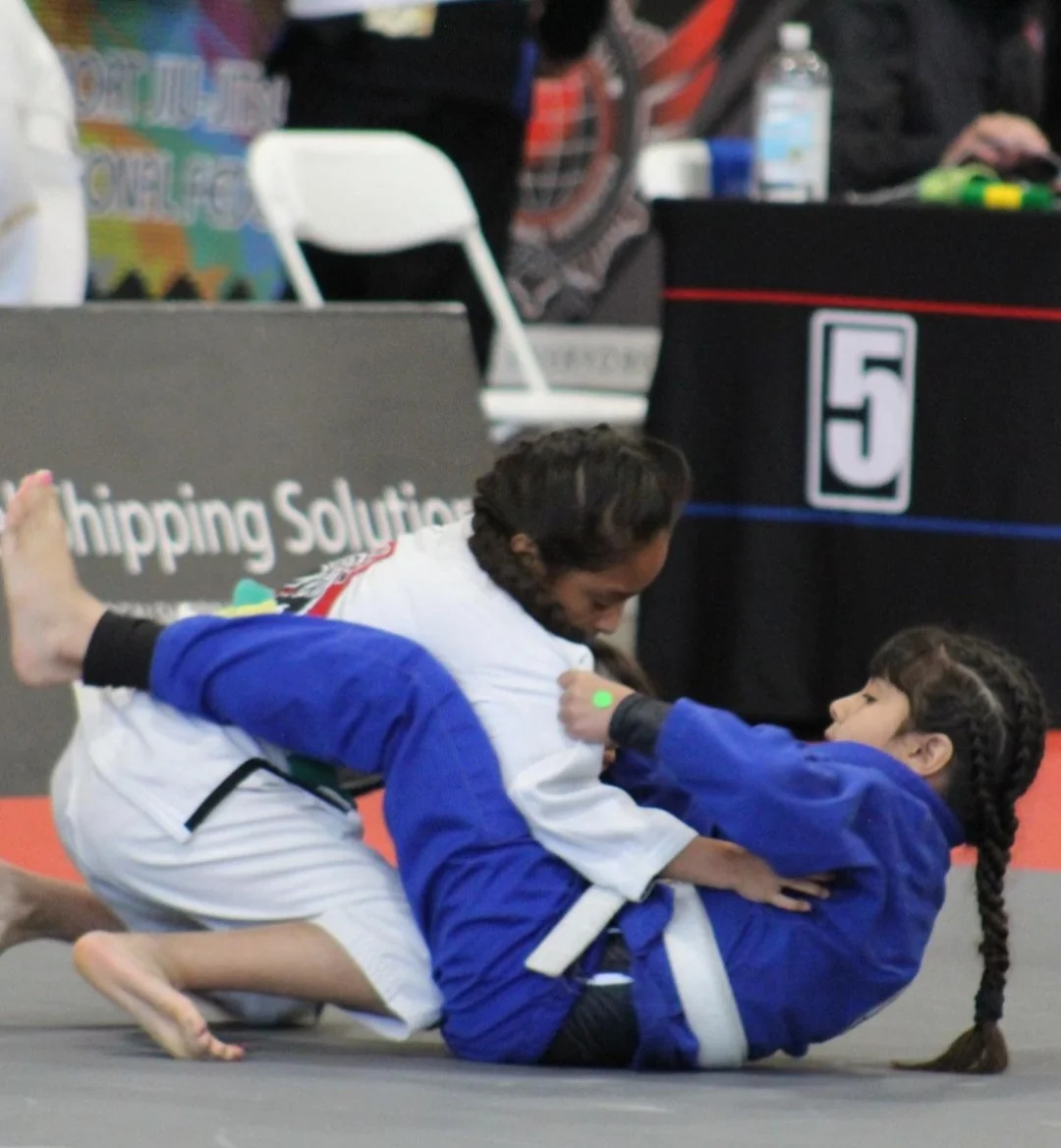 Python Jiu-Jitsu Academy visual