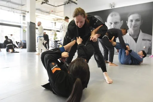Ralph Gracie Jiu-Jitsu academy photo
