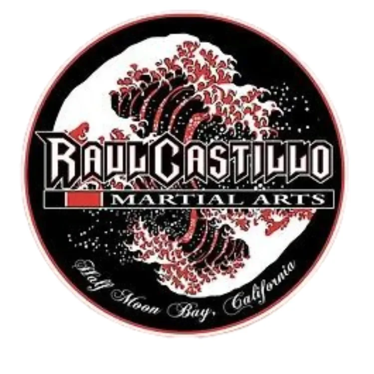 Raul Castillo Martial Arts academy photo