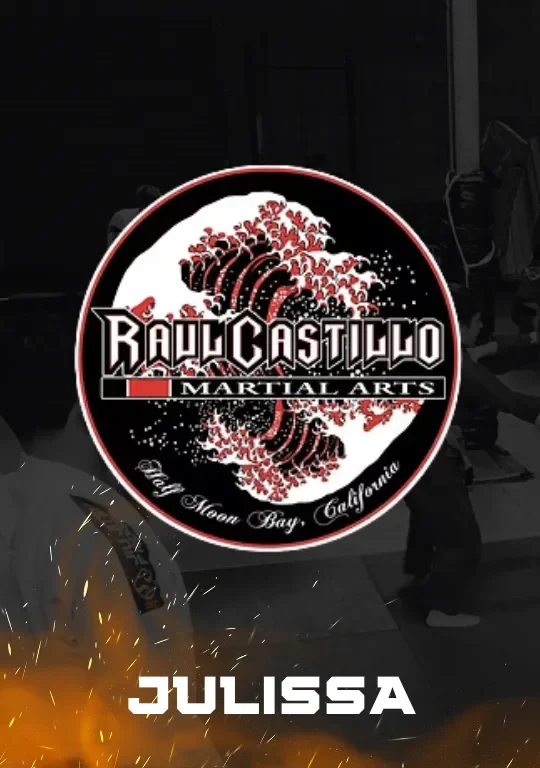 Raul Castillo Martial Arts academy photo