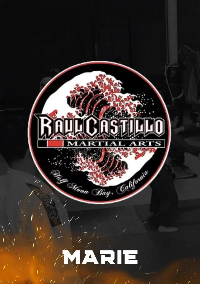 Raul Castillo Martial Arts academy photo
