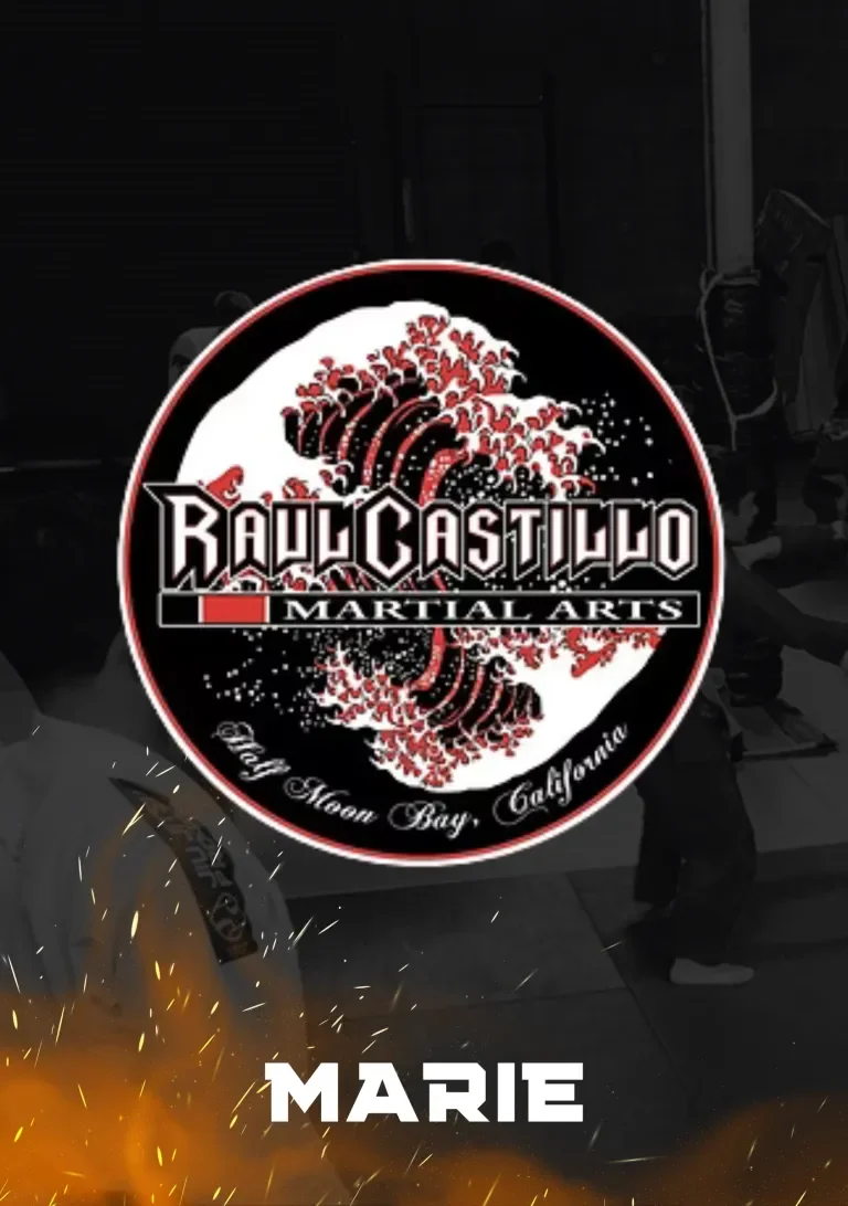 Raul Castillo Martial Arts academy photo