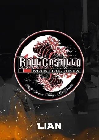Raul Castillo Martial Arts academy photo