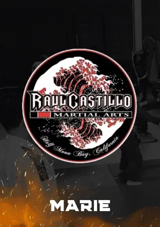 Raul Castillo Martial Arts academy photo