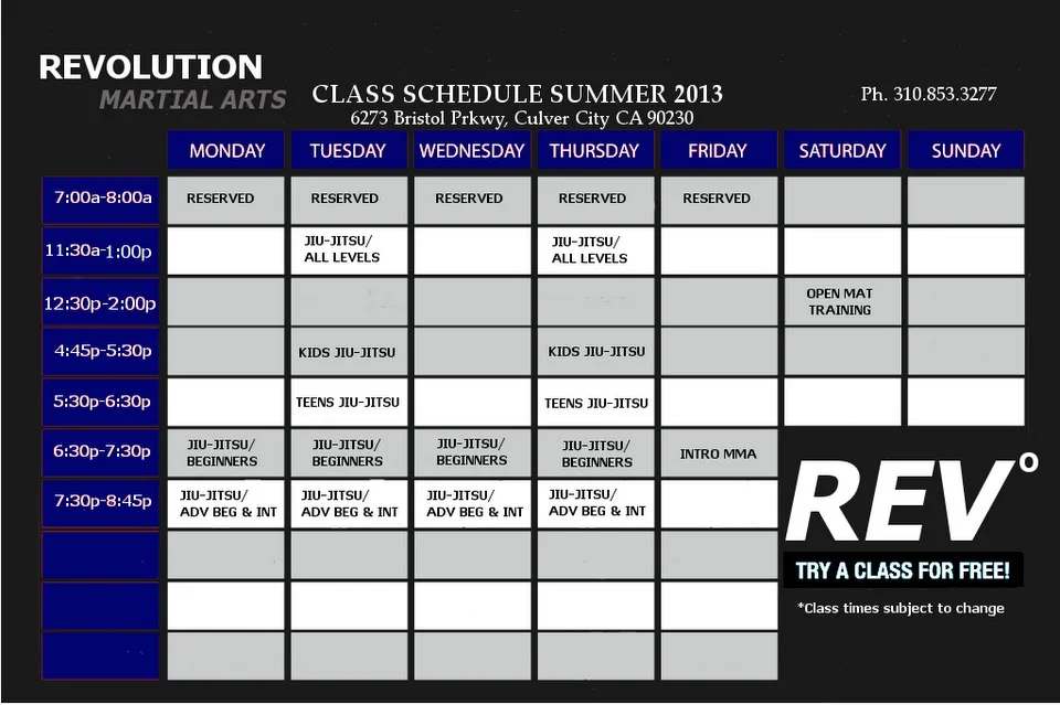 Revolution Martial Arts & Jiu Jitsu academy photo