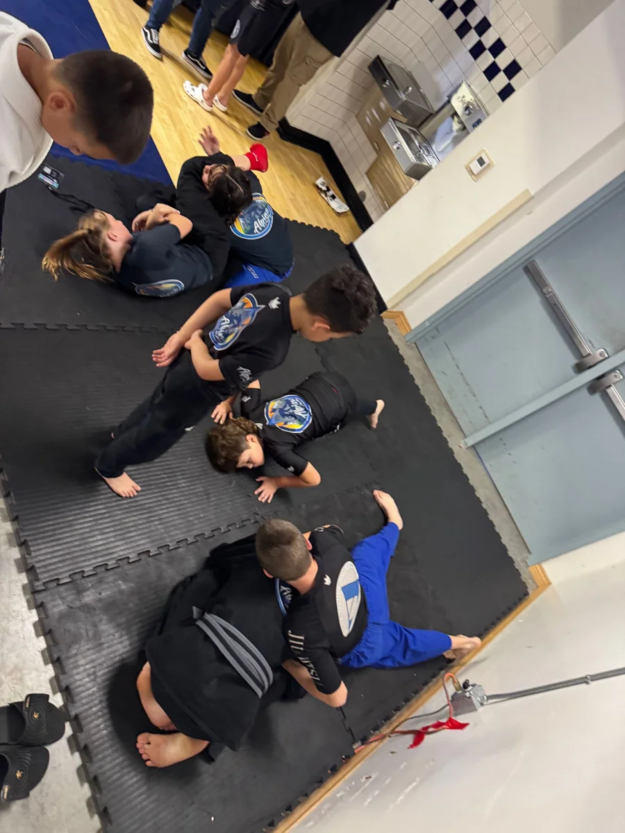 Ribeiro Jiu-Jitsu academy photo