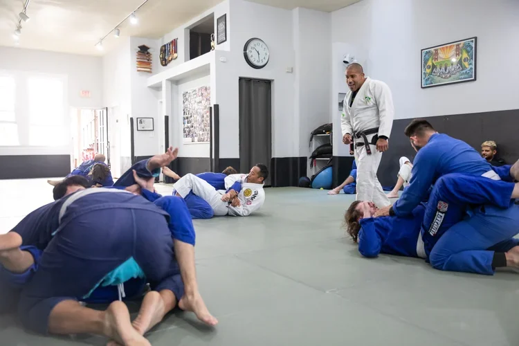 Romulo Melo BJJ visual