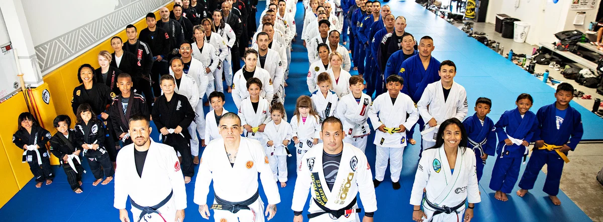 SabreBJJ visual