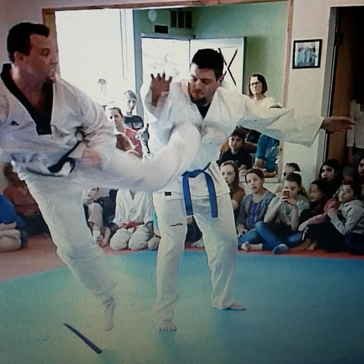 Santa Cruz Martial Arts Academy academy photo