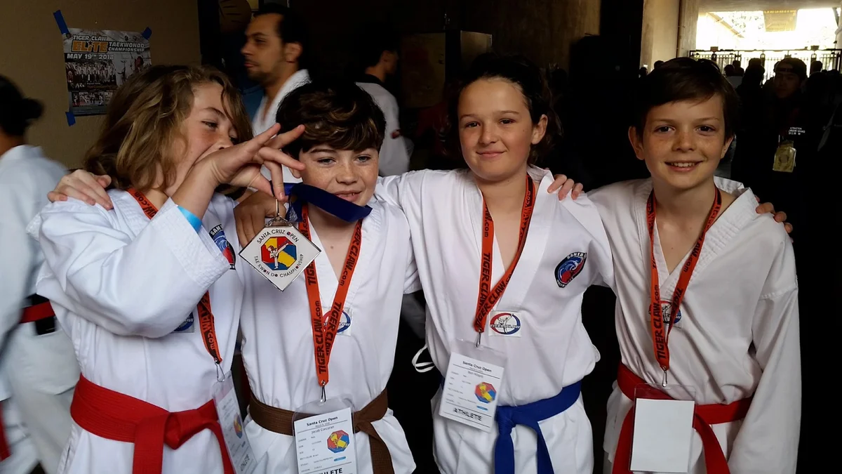 Santa Cruz Martial Arts Academy academy photo