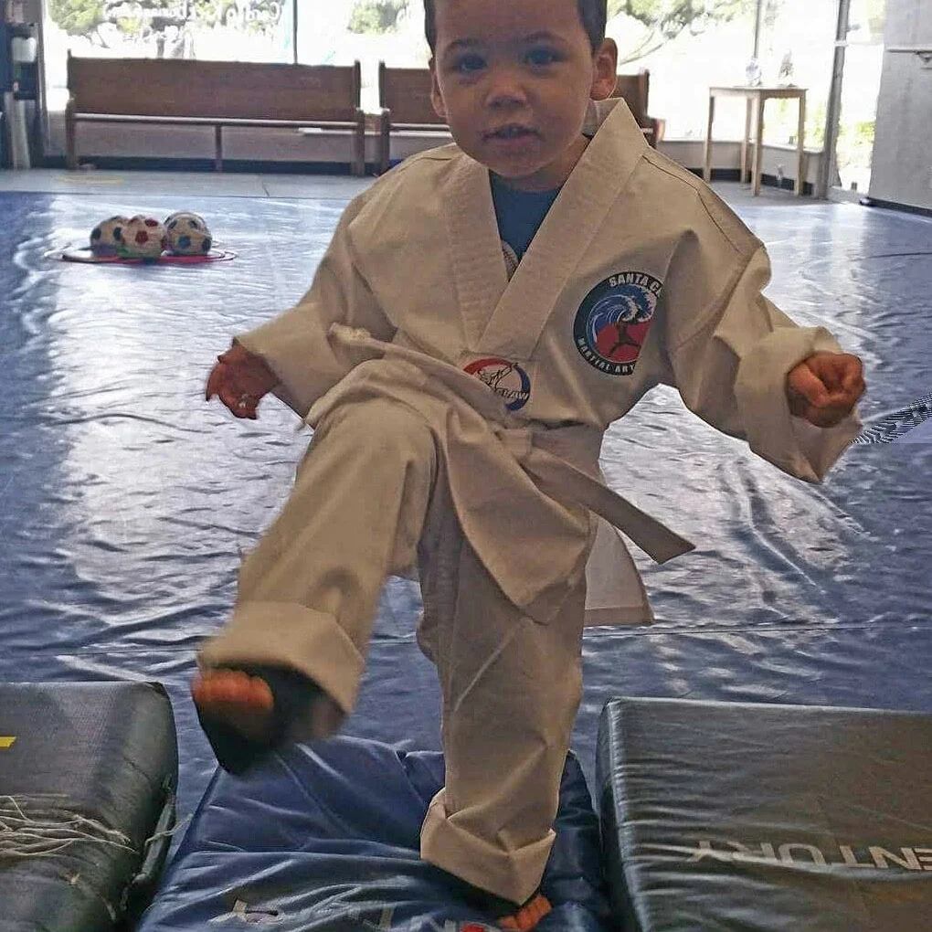 Santa Cruz Martial Arts Academy academy logo