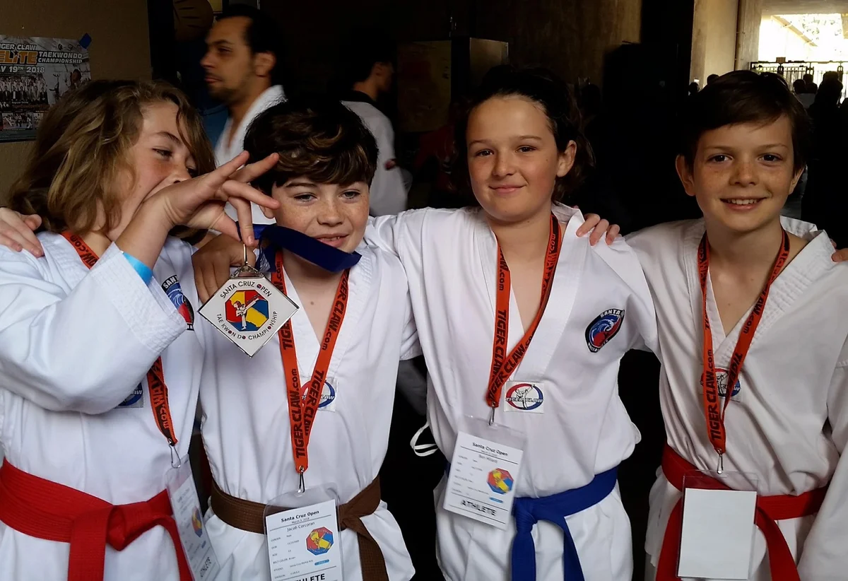 Santa Cruz Martial Arts Academy academy photo