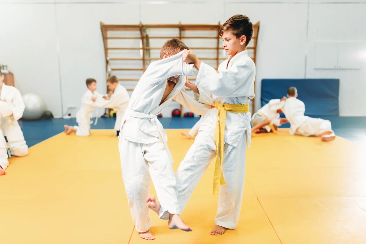 Satori no Michi Non-Profit Dojo facility image