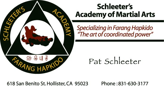 Schleeter's Academy of Martial Arts academy logo