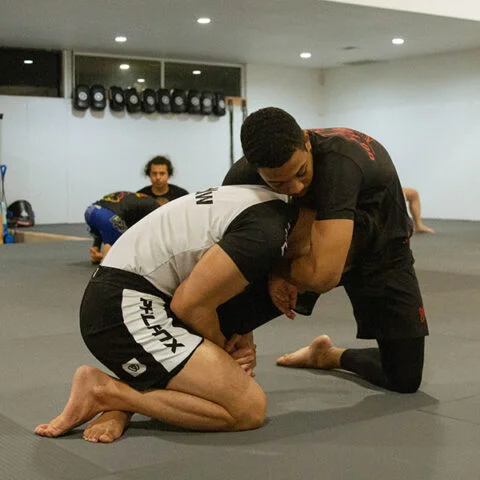 Southside Jiu-Jitsu Academy academy photo