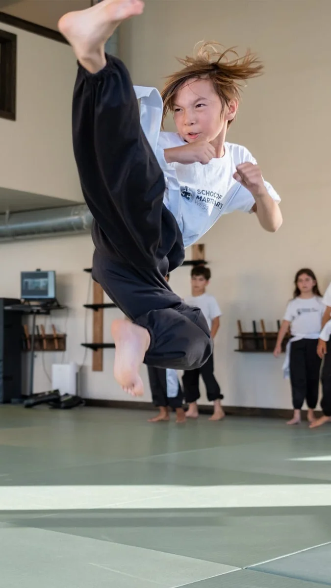 School of Martial Arts West LA facility image