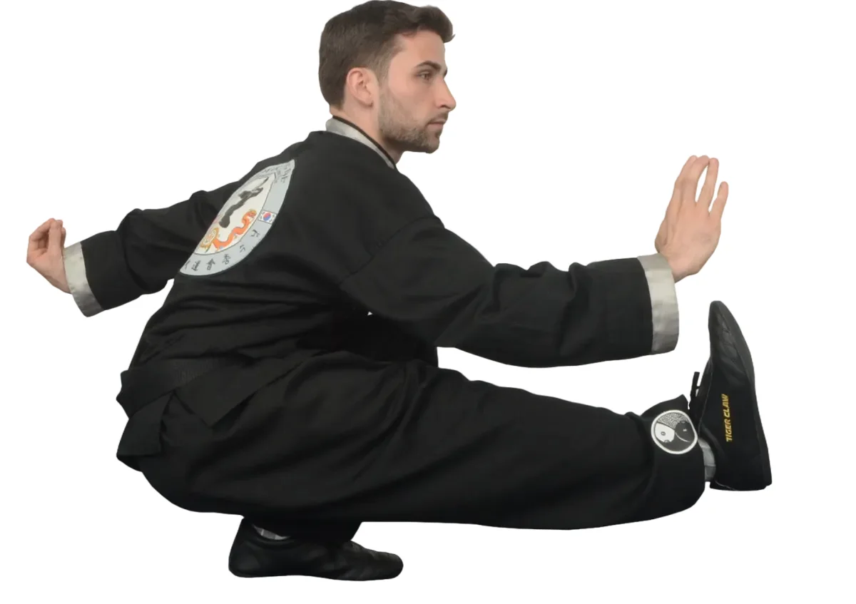 School of Oom Yung Doe (The Grandmaster Iron Kim Style) academy photo