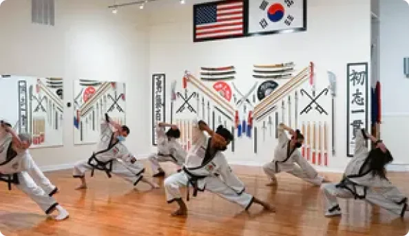 School of Oom Yung Doe (The Grandmaster Iron Kim Style) academy photo