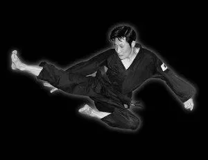 School of Oom Yung Doe (The Grandmaster Iron Kim Style) academy photo