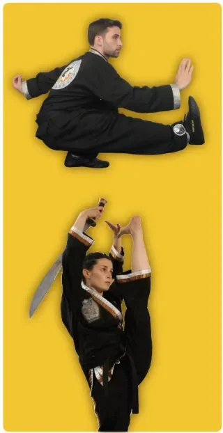 School of Oom Yung Doe (The Grandmaster Iron Kim Style) academy photo