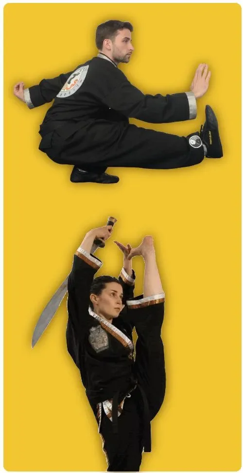 School of Oom Yung Doe (The Grandmaster Iron Kim Style) academy photo