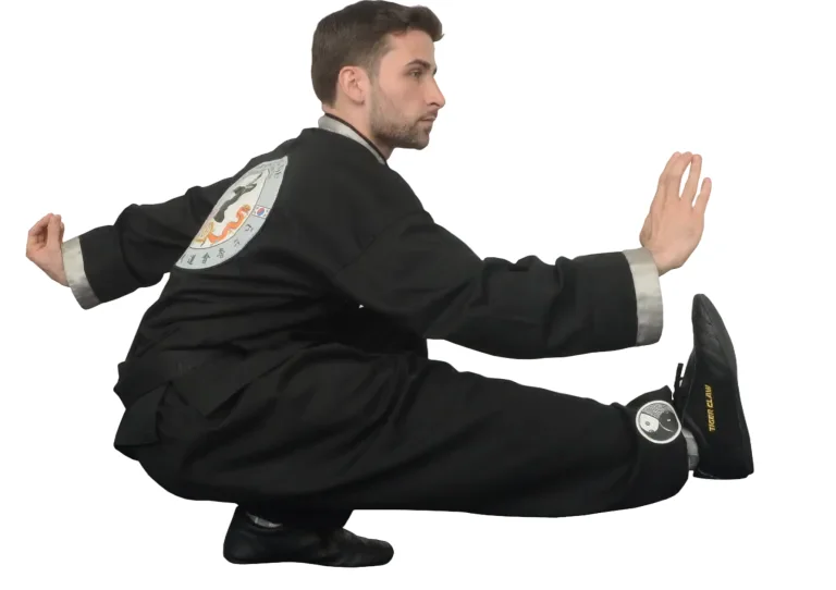 School of Oom Yung Doe (The Grandmaster Iron Kim Style) academy photo
