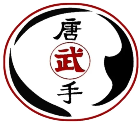 Scorpius Martial Arts academy photo