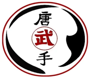 Scorpius Martial Arts academy photo