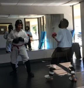 Scorpius Martial Arts academy photo