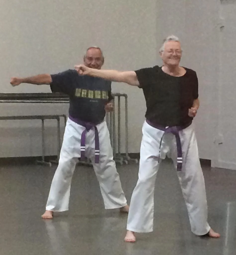 Scorpius Martial Arts academy photo
