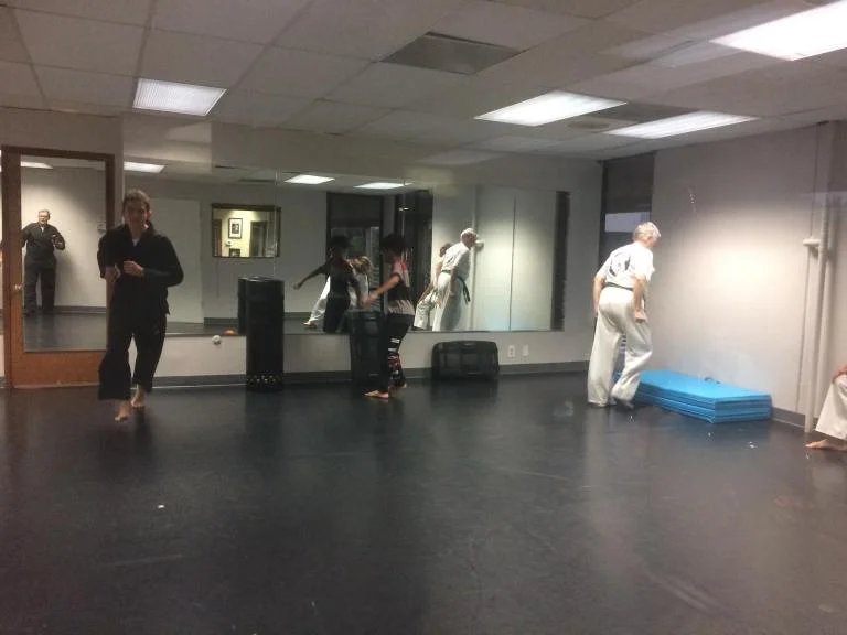 Scorpius Martial Arts academy photo
