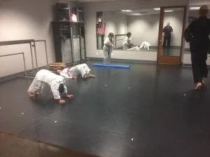Scorpius Martial Arts academy photo