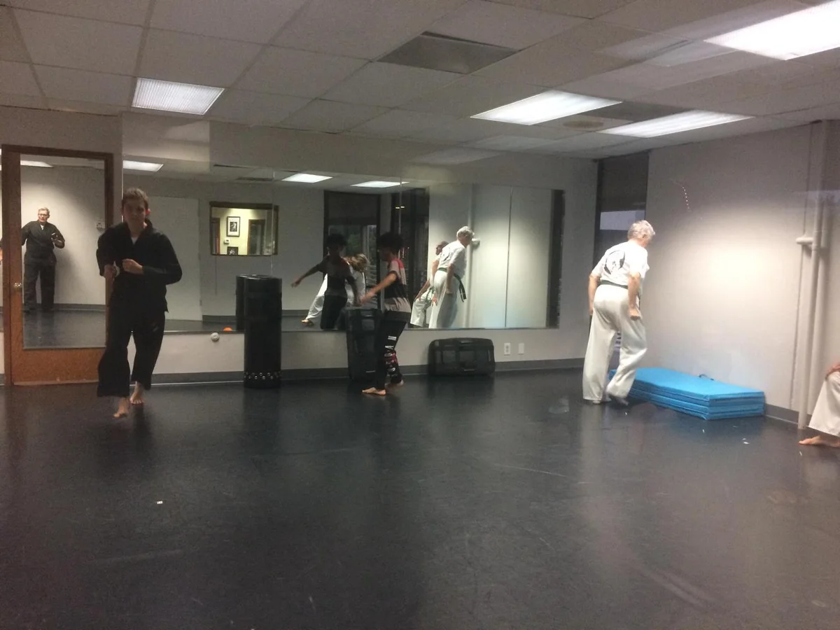 Scorpius Martial Arts academy photo
