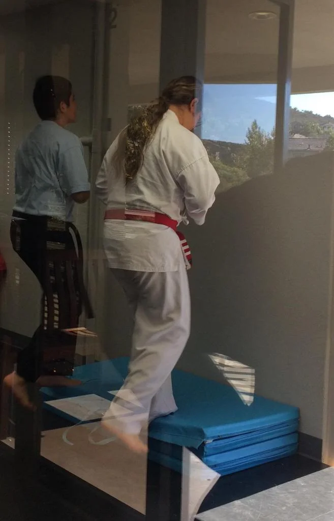 Scorpius Martial Arts academy photo