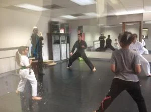 Scorpius Martial Arts academy photo