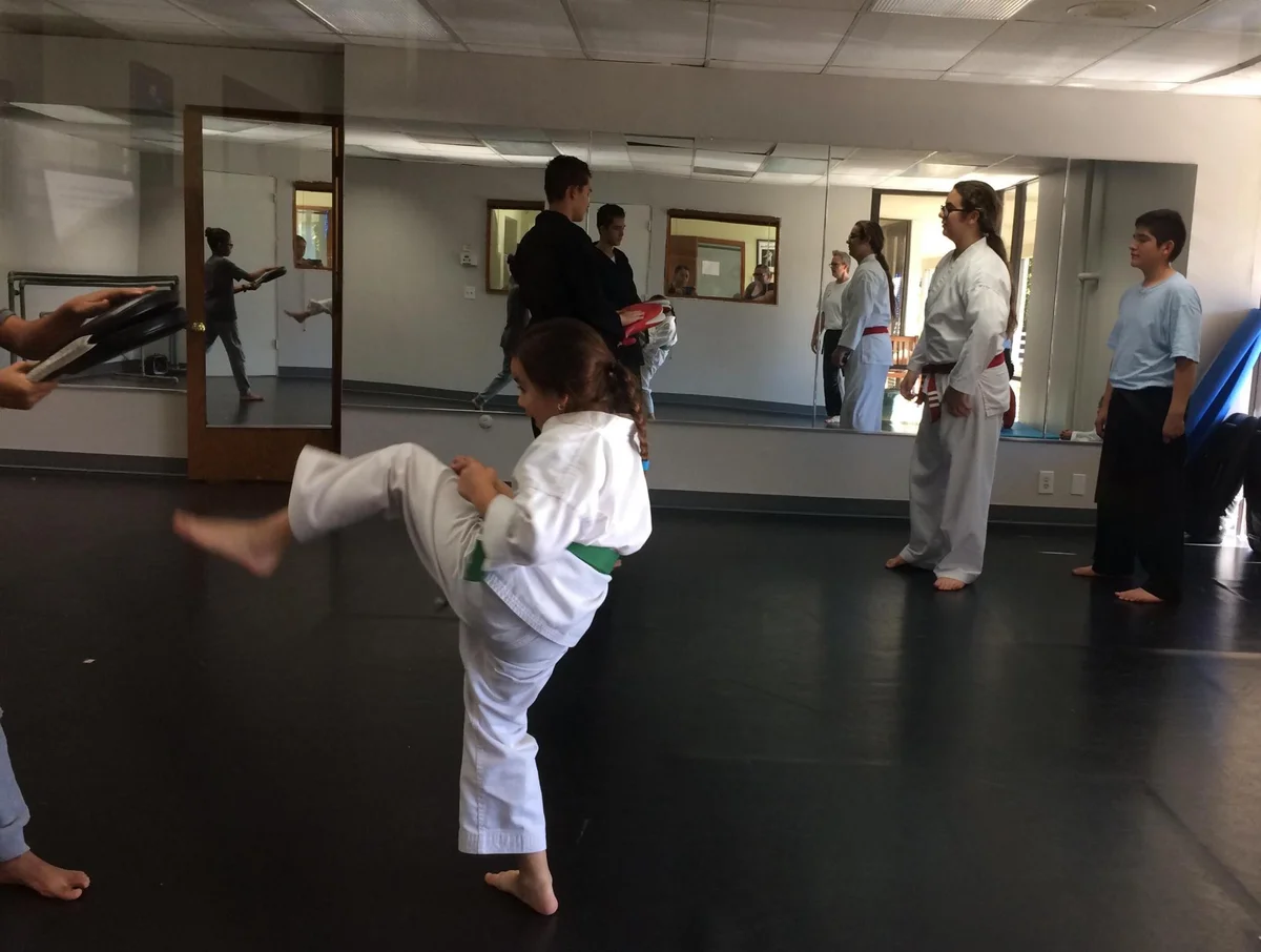 Scorpius Martial Arts academy photo