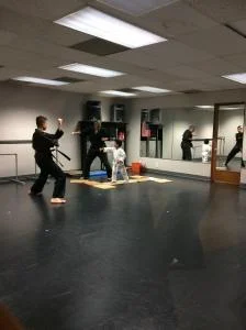 Scorpius Martial Arts academy photo