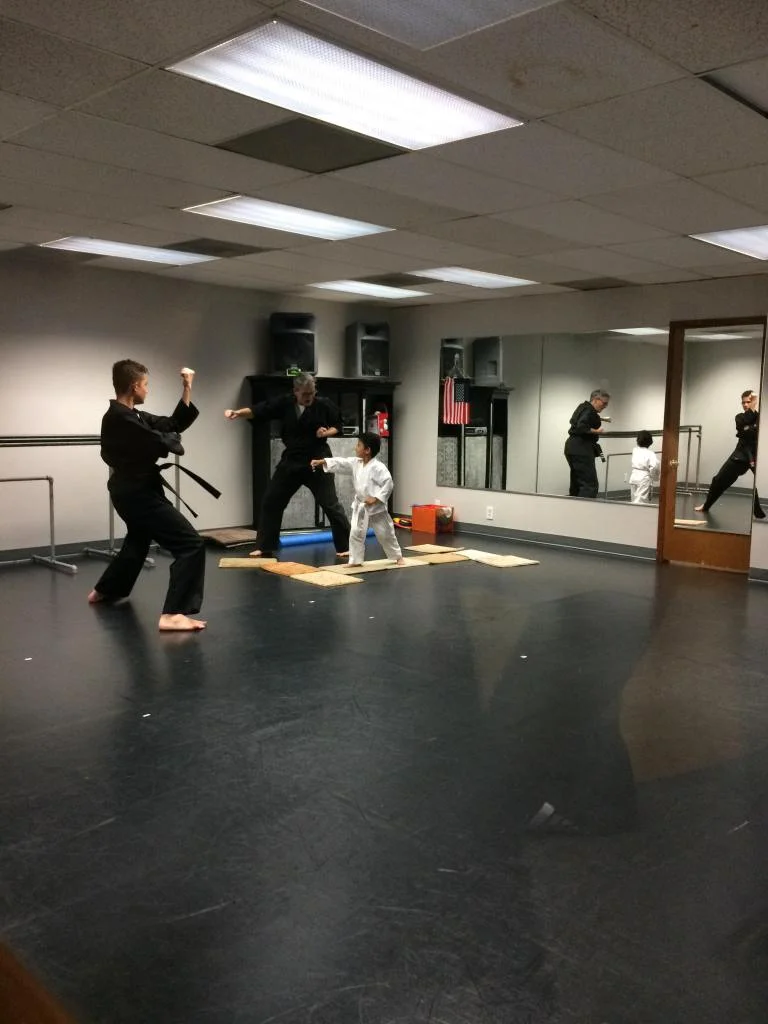 Scorpius Martial Arts academy photo