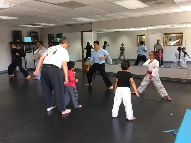 Scorpius Martial Arts academy photo