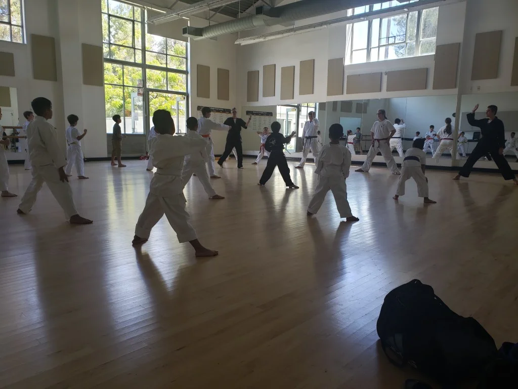 Scorpius Martial Arts academy photo