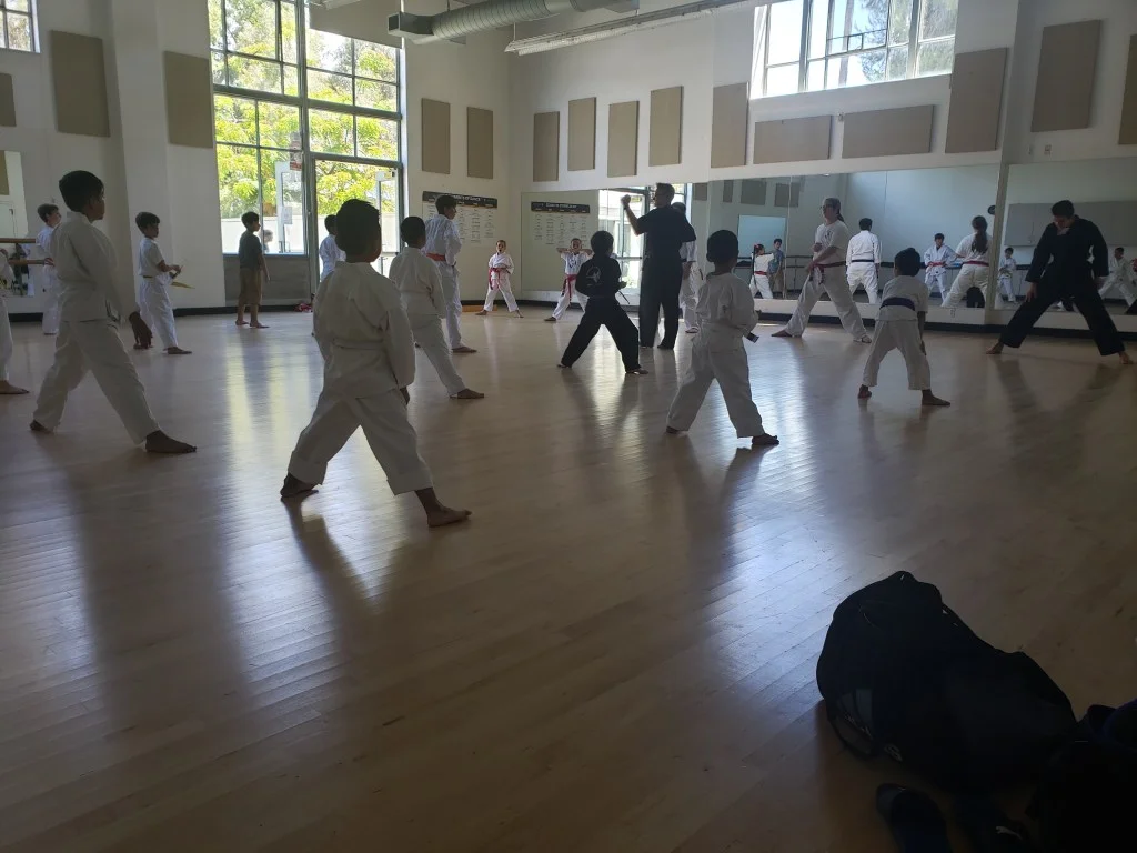 Scorpius Martial Arts academy photo