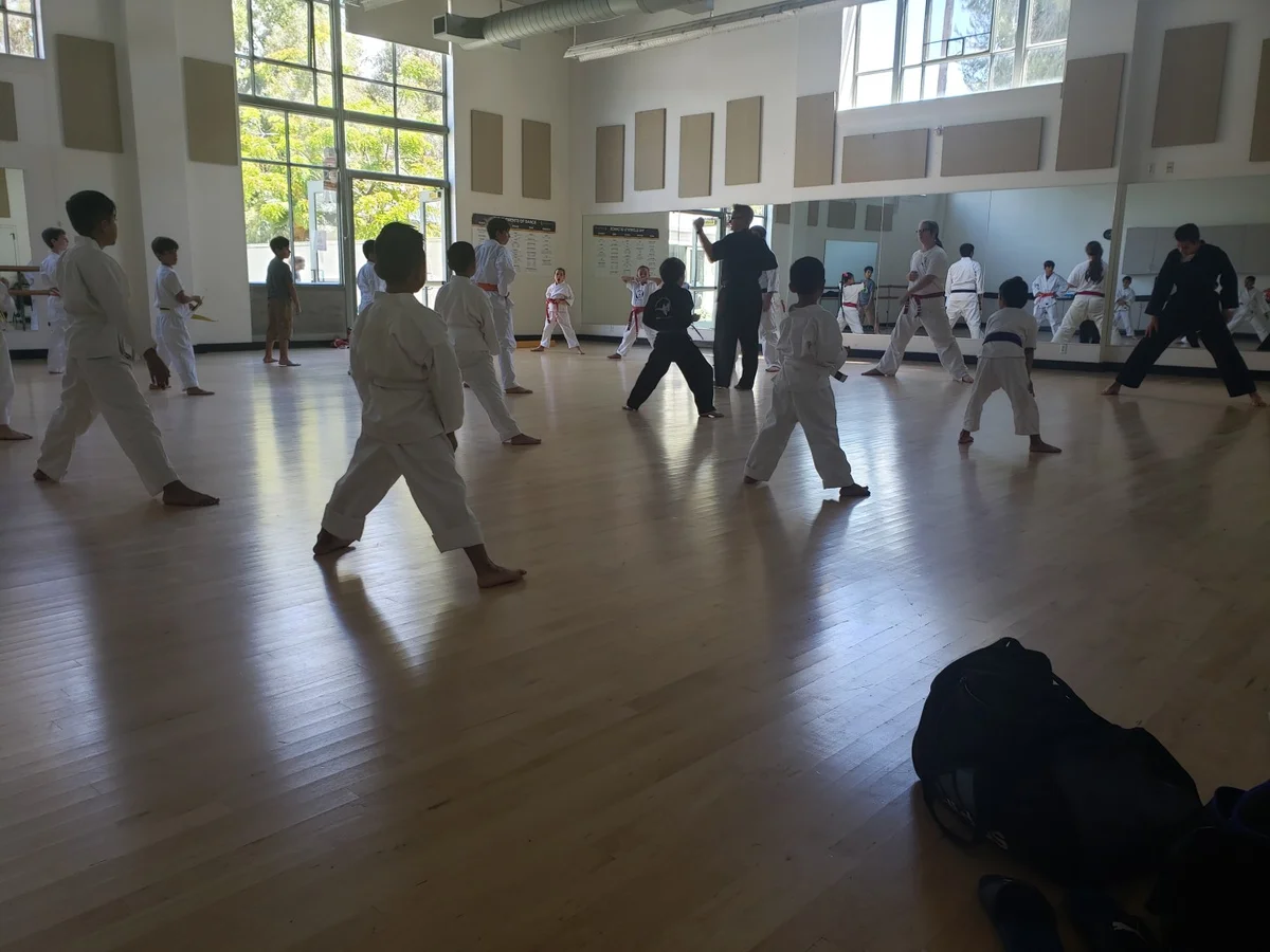Scorpius Martial Arts academy photo