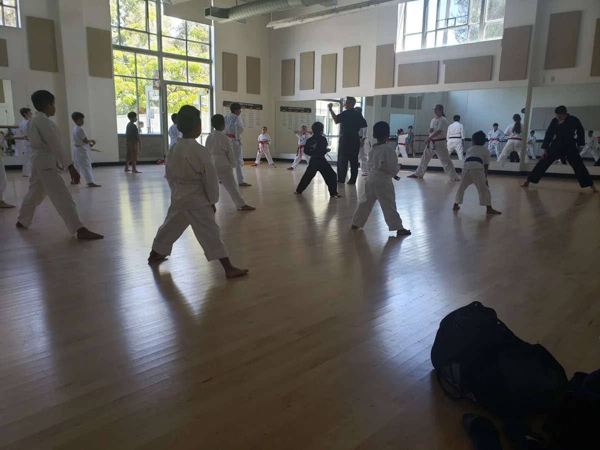 Scorpius Martial Arts academy photo