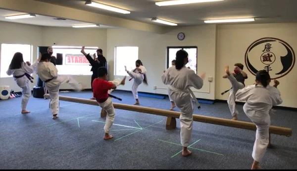 Scorpius Martial Arts academy photo