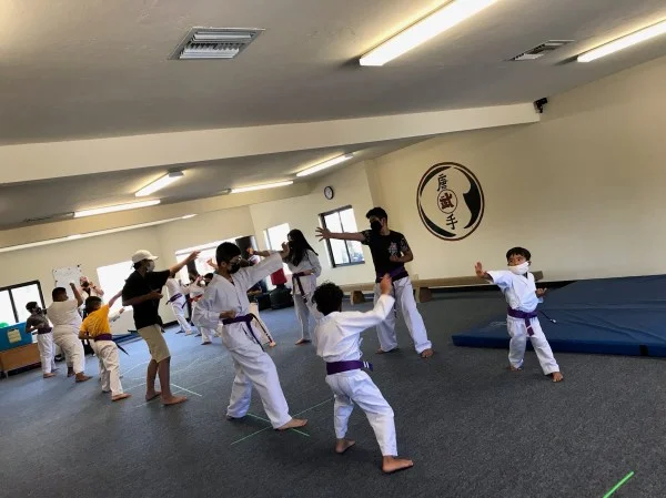 Scorpius Martial Arts academy photo