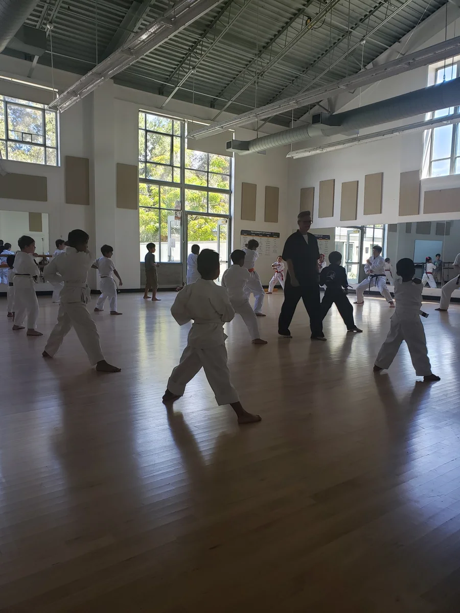 Scorpius Martial Arts academy photo