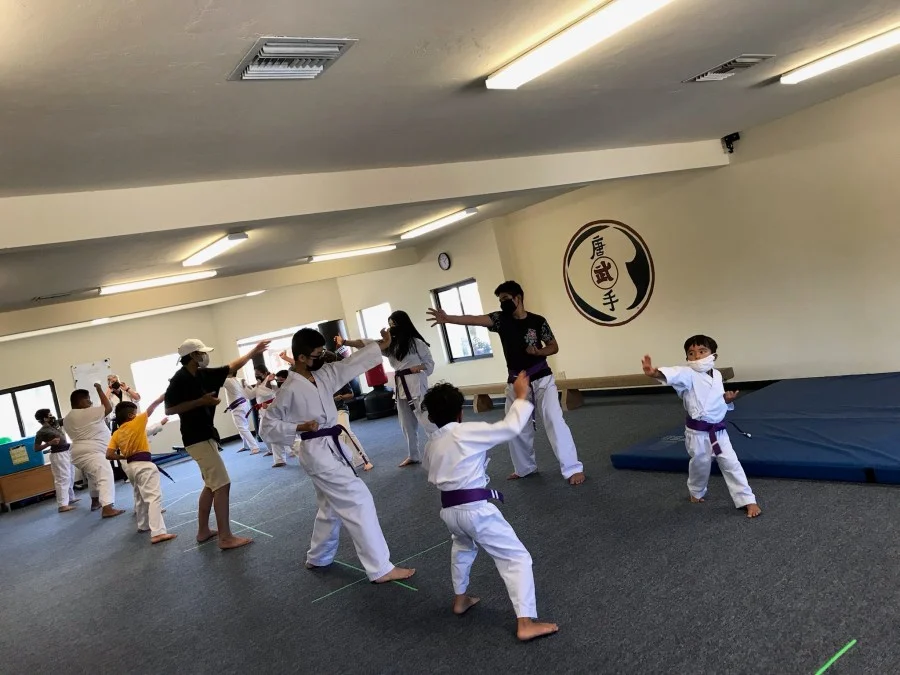 Scorpius Martial Arts academy photo