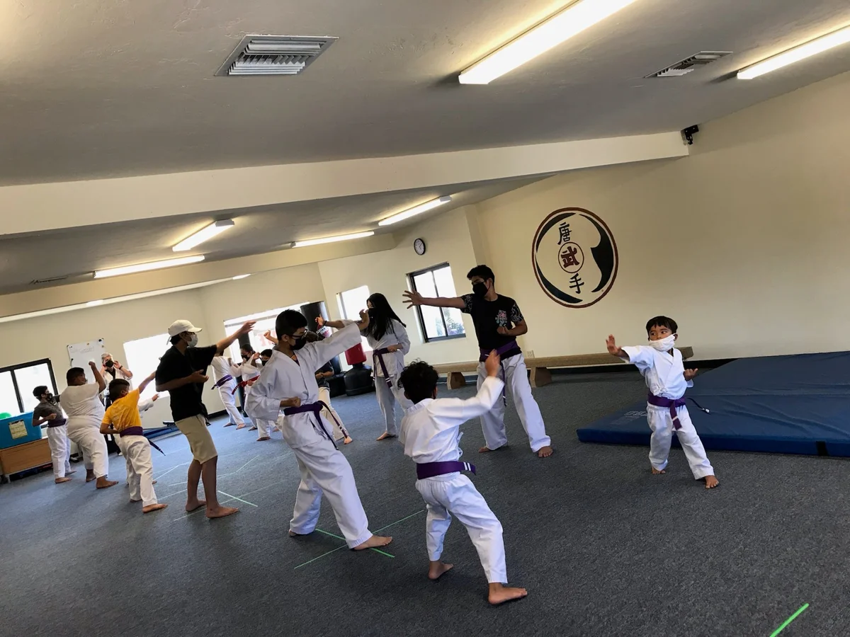 Scorpius Martial Arts academy photo
